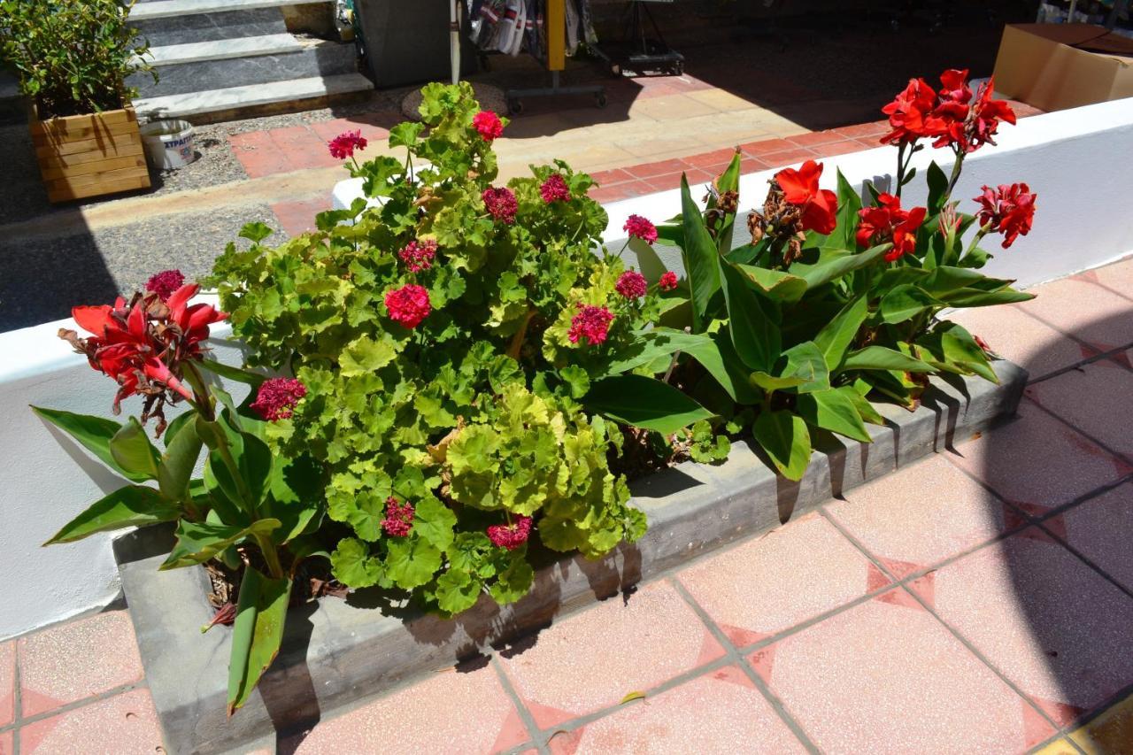 Hotel Arant Mastichari  Buitenkant foto